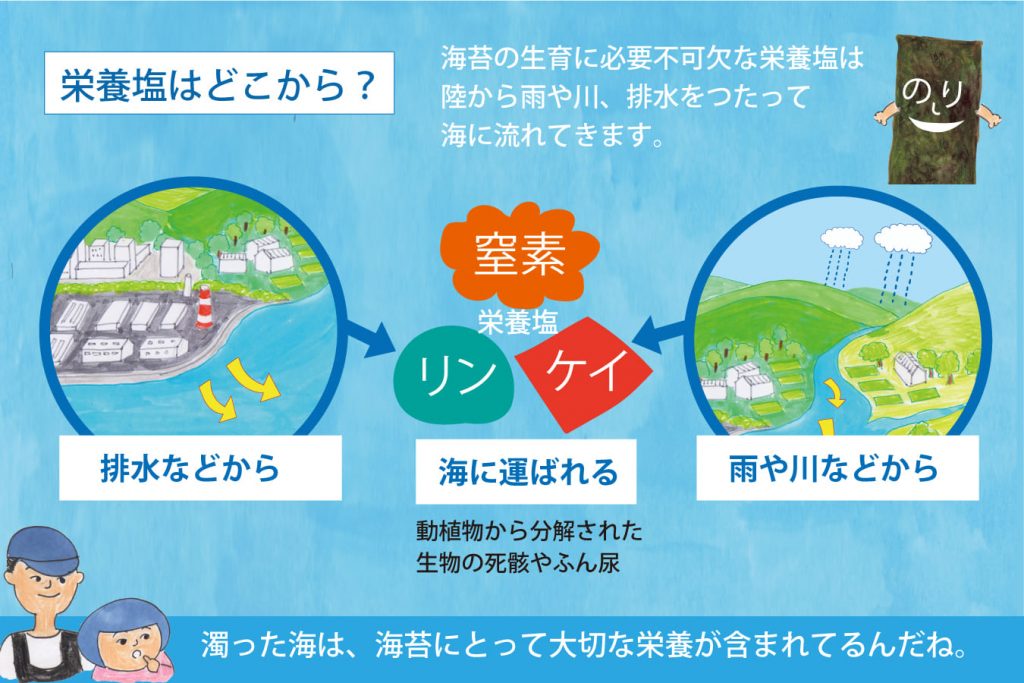 海苔を育て 海を守る 株式会社 せのお水産 育てて 摘んで 美味一貫